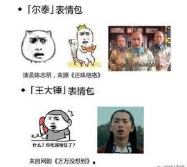 视频表情包原型